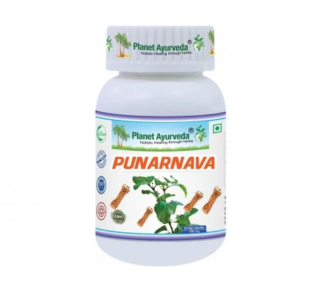 Punarnava- zdravie obličiek, pečene- 500mg, 60 kapsúl