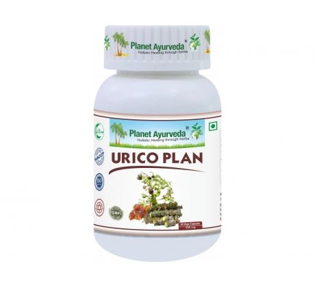 Urico Plan- zdravie močového systému- 500mg, 60 kapsúl